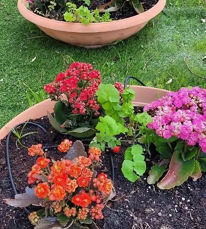 Gozo & Family Retreat * Qala